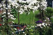 180-Marken,1 giugno 2010